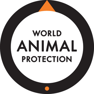 World Animal Protection commends Panera Bread on commitment to improve welfare of broiler chickens