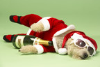 4 Things That Practically Guarantee a Holiday Hangover: USANA's Dr. Dixon Tells You What NOT To Do