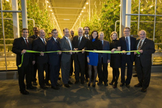 Mission accomplished for Toundra Greenhouse - Quebec's largest greenhouse complex with year-round production officially inaugurated