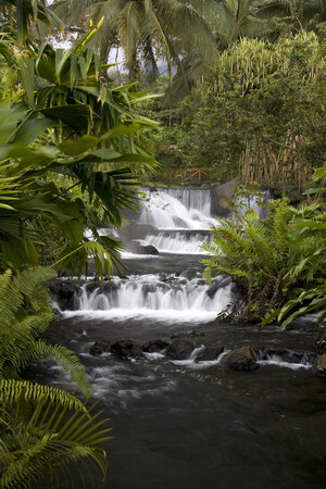 Legendary Wellness Meets Natural Beauty in Costa Rica
