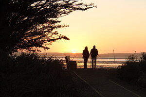 Winter is For the Birds: Calling all Bird Lovers and Lovebirds to Morro Bay, CA
