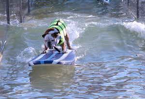 Surf's Up as American Wave Machines Wave Float for Surfin' Dogs Headlines 2017 Tournament of Roses® Parade Float