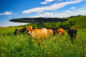 Mobile Shade for Managed Grazing Livestock