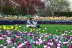 Dallas Arboretum Presents Dallas Blooms: Peace, Love and Flower Power with Explosions of Color Throughout the 66-Acre Garden