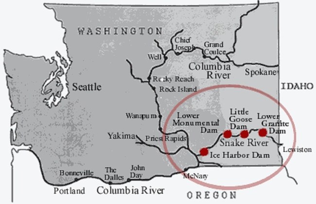Map of Lower of Snake River Dams in Washington State