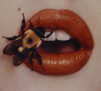 First Retrospective in 20 Years of Master Photographer Irving Penn Opens February 24 at Nashville's Frist Center