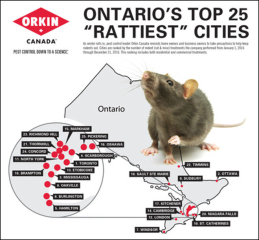 Toronto is the #1 City for Rats!