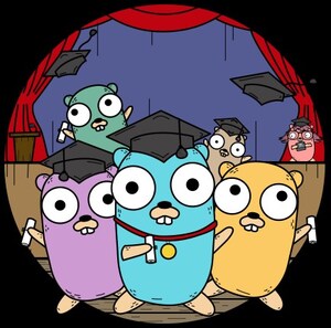 Gopher Academy Launches Go Training Programs