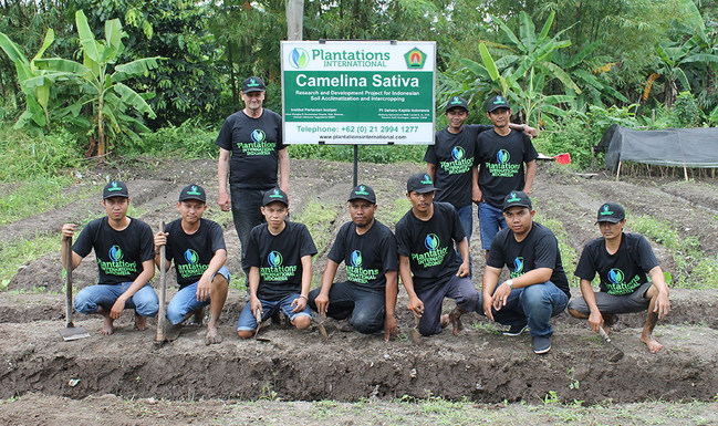 Plantations International Camelina Sativa seed farm team in Yogyakarta, Indonesia.