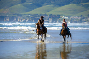 The Best of CA Highway 1: Top Hidden Gems for Beach Lovers and History Buffs in Oceano and Nipomo
