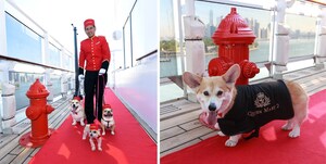 Cunard Sponsors 2017 Westminster Kennel Club Dog Show
