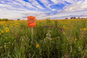Saving the Monarch: Pheasants Forever Leads National Effort to Restore Habitat Benefitting Butterflies and Birds