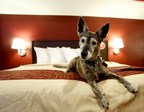 Red Roof® Welcomes Pet Travelers With Deals, Free Nights, Tips And Local Advice