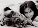 Shannen Doherty to Host Animal Hope and Wellness Foundation's First Annual Gratitude Gala on Saturday March 4, 2017 in Los Angeles