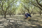 Almond Board of California Commits $4.7 Million to an Innovation-Fueled Future