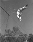 Historic Ringling Brothers Circus Photographs From the 1930's and 40's Available for Licensing