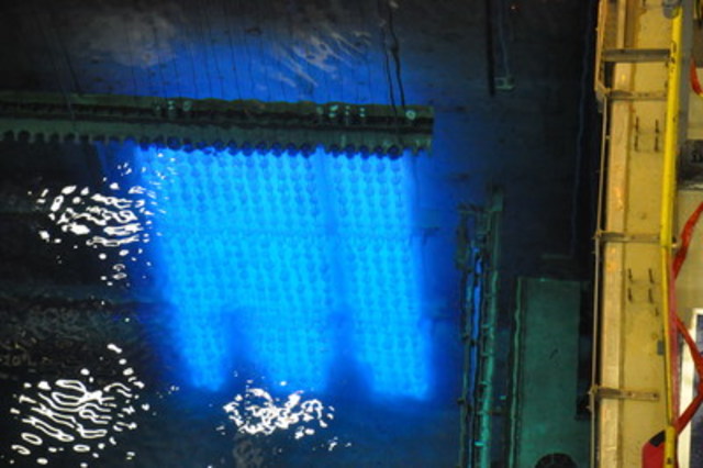 University of Guelph, Bruce Power and Nordion team up for research project using Cobalt-60