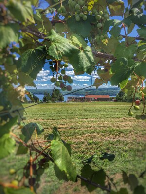 Finger Lakes Winery Invests in New Winemaking Equipment