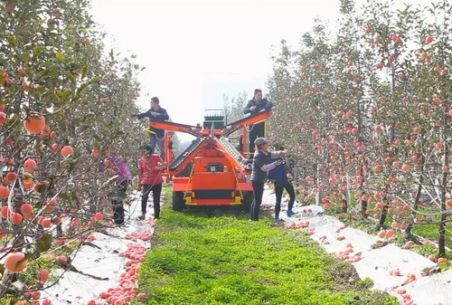 Semi-automatic operation platform for orchards developed by Uni-orange