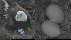 Mr. President &amp; The First Lady Are Egg-Specting Two Eaglets!