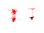 Study Finds New Mechanism to Control Information Flow in the Brain