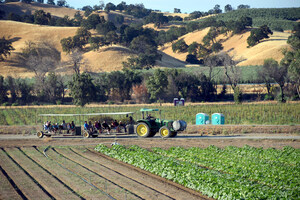 Farm Fresh To You Starts Northern California Event Season With Spring Equinox Farm Tour On March 18
