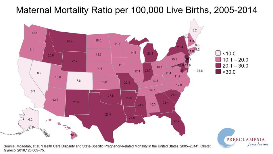 Mortality Rate Traduccion Espanol