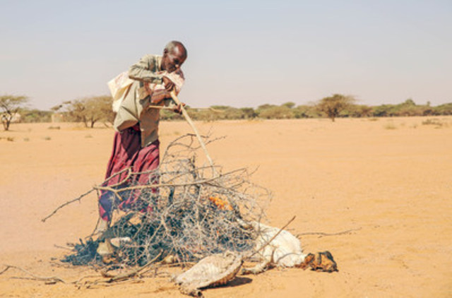 In Somalia, Saîd burns his goats that have died. After walking for more than 100 km, he still has difficulty finding enough water and food for him or his livestock. (CNW Group/World Vision Canada)