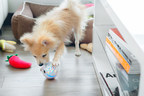Pebby Launches World's Most Advanced Robotic Pet Sitter System