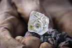 Amadena Investments Announces: Foxfire Diamond Exhibit Extended at the Smithsonian