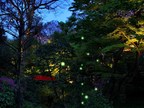 Experience a Taste of Kyoto and Firefly Festivities at Hotel Chinzanso Tokyo