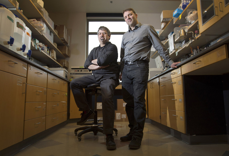 Alec Hirsch, Ph.D. (left, sitting) and Daniel Streblow, Ph.D. (right, standing)