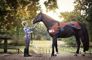 Horses Welcome the BEMER Touch