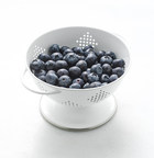 New Research Examines Blueberries' Effect On Cognitive Function In Healthy Older Adults