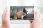 Petcube Empowers Pets to Broadcast Live on Facebook and Announces Partnership with Leading Natural Pet Food Brand Wellness