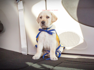Chrysler Brand introduces PacifiPuppy Foley to launch its new social initiative in partnership with Canine Companions for Independence's 