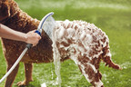 Waterpik Embarks Into the Pet Care Category with New Pet Wand PRO