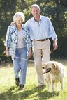 Pet Dogs Help Older Adults Stay Active, Reveals Mars Petcare