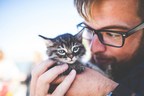 Miaow Good News as Cats Claw Their Way Into the Affections of Men - PFMA Releases its Top Ten Pets Chart and Announces a Growth in the Cat Population