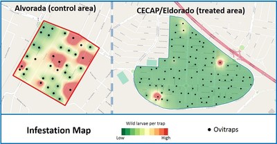 Infestation map for untreated area (Alvorada) /treated area (CECAP/Eldorado) - week 52 (PRNewsFoto/Oxitec Ltd)