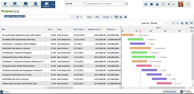 Innotas by Planview makes it easy to visualize a timeline of projects in the portfolio to quickly determine gaps and overlaps.