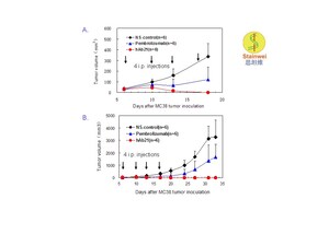 Stainwei recibe la concesión de la patente estadounidense del anticuerpo monoclonal anti-FCEV y su AcM anti-PD-1