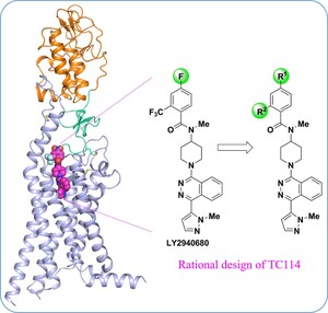 Científicos de Shanghái descifran la estructura multidominio completa del receptor humano Smoothened