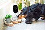 PAWBO: Acer's Pet Tech Offering Set to Boost Pet Wellbeing in UK