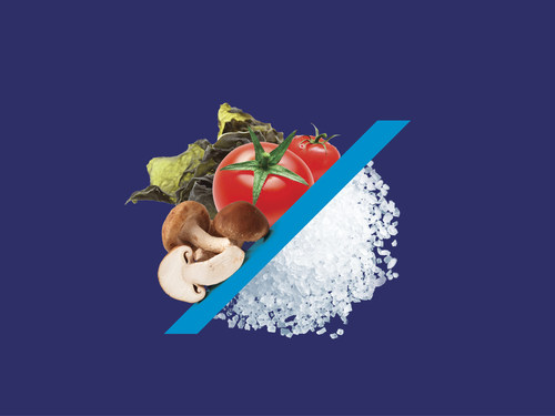 Salt of the Earth appoints Kreglinger Specialties as its exclusive distributor for Mediterranean Umami, an all-natural sodium reduction ingredient. (PRNewsfoto/Salt of the Earth Ltd.)