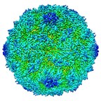 New Synthetic Polio Vaccine Candidate - Visualised at the Atomic Scale at Diamond - Could Be a Major Step Towards Global Eradication