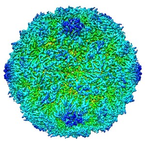 New Synthetic Polio Vaccine Candidate - Visualised at the Atomic Scale at Diamond - Could Be a Major Step Towards Global Eradication