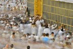 Kingdom of Saudi Arabia Ministry of Culture and Information: Hajj is the Largest Peaceful Global Gathering