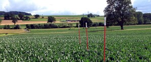 Swiss Company PlantCare Makes Breakthrough in Digital Farming