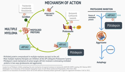 The Drug Target And Mechanism Of Action